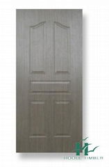 Plywood Molded Door skin