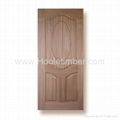 HDF Natural Sapeli Molded Door skin 1