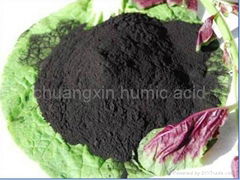 Humic Acid Leonardite in Xinjiang