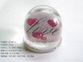 inser paper beautiful snow globe