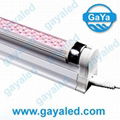 Led Tube Light