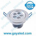 LED Down Light