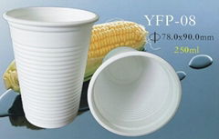 Biodegradable Cup(8 oz)