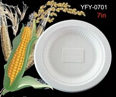 Biodegradable Disposable Environmental Plate 