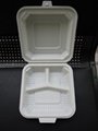 Disposable Biodegradable Lunch Box 1