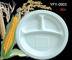 Biodegradable Disposable  Plate