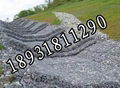 Galvanized wire mesh 1