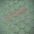 Galvanized wire mesh 2