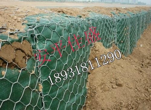 堤坡镀锌防护网 2