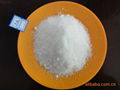 Oxalic Acid 2