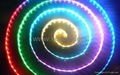 IP68 waterproof 5M 300 LEDs horse race