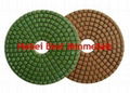 Diamond Polishing Pads 1