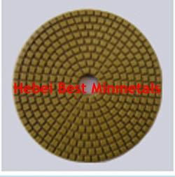 Diamond Polishing Pads 2