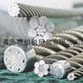 STEEL WIRE ROPE 1