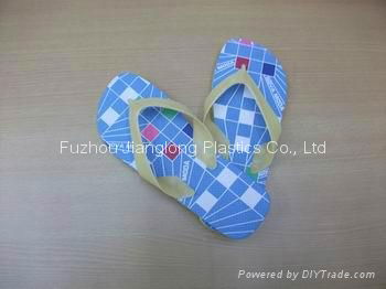 2012 New Slipper FlipFlop 3