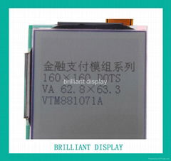 Brilliant LCD Module (VTM881071A)