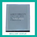 Brilliant LCD Module (VTM881031A) 1