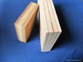 28mm Apitong Container plywood flooring