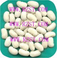 Large White Kidney Beans 1