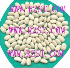 Medium White Kidney Beans