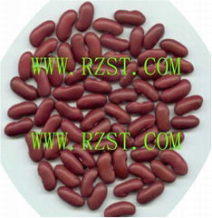 Dark Red Kidney Beans