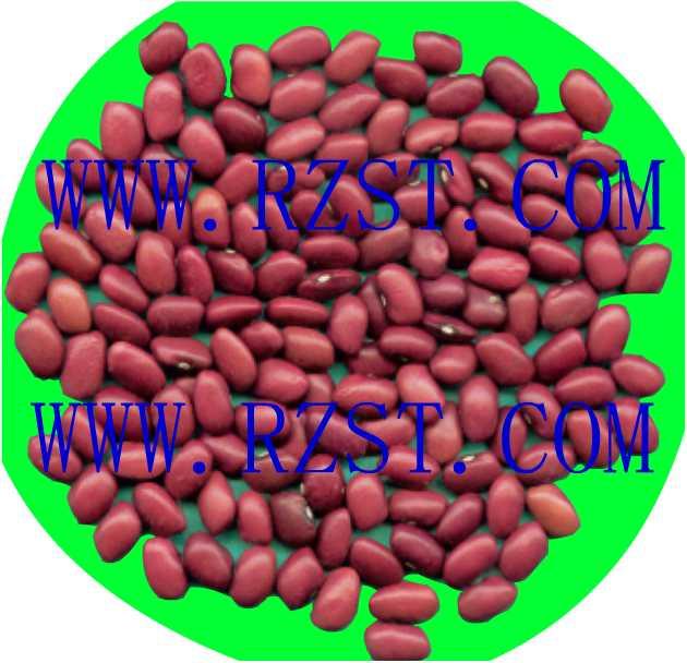 Red Kidney Beans