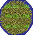 Mung Beans