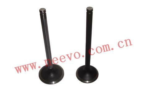 Exhaust valve/Inlet valve