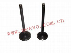 Exhaust valve/Inlet valve