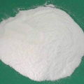 Praseodymium Carbonate  1