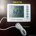 digital thermometer 1