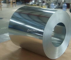 GALVANIZED STEEL COIL