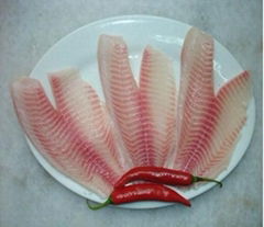 tilapia