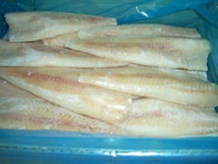 sell alaska pollock fillets