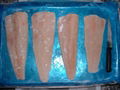 frozen hake fillets 1