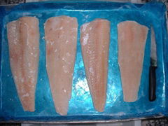 frozen hake fillets