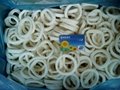 export frozen squid ring