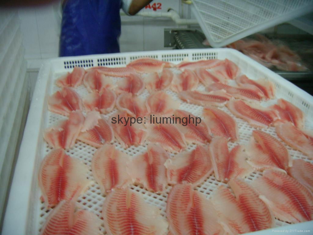 Tilapia Fillet Partially-Skinned CO Treated