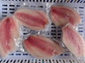 Tilapia Fillet Partially-Skinned CO Treated 2