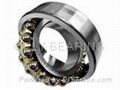 Self-aligning Ball Bearing 2