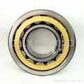 Cylindrical Roller Bearings