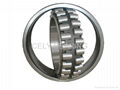  Spherical Roller Bearing 5