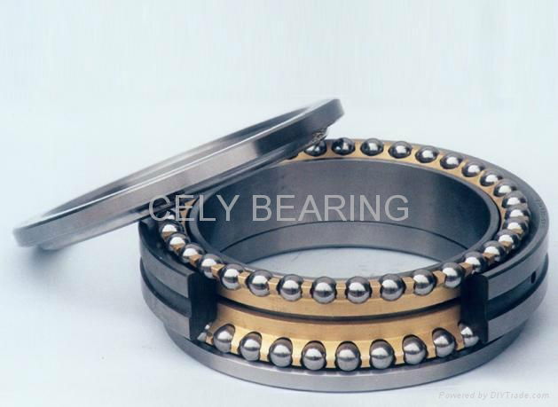 Four-point Contact Ball Bearing  2