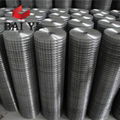 Galvanized Welded Wire Mesh