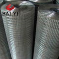 Galvanized Welded Wire Mesh 3