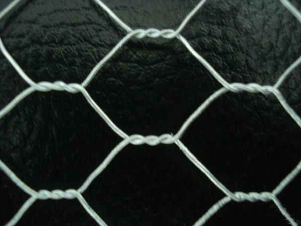 Electro Galvanized Hexagonal Wire Mesh