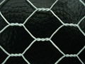 Electro Galvanized Hexagonal Wire Mesh