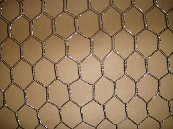 Electro Galvanized Hexagonal Wire Mesh 2