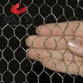 Hot Dipped Galvanized Hexagonal Wire Mesh