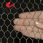 Hot Dipped Galvanized Hexagonal Wire Mesh